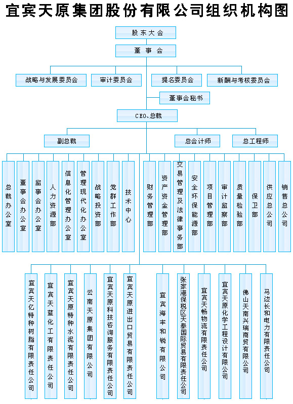 公司財務管理(財務資金管理)