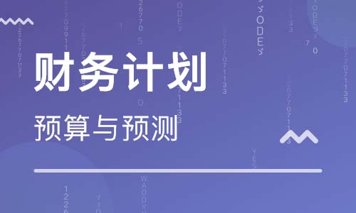 企業(yè)財稅培訓(國際財稅培訓)