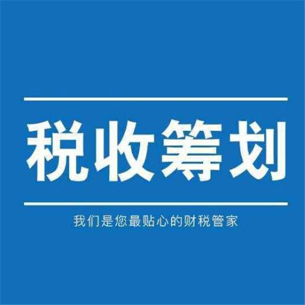 稅收籌劃的原則(公平類(lèi)稅收原則和效率類(lèi)稅收原則)